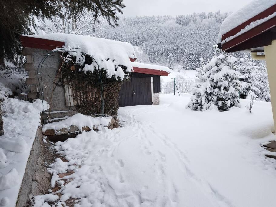Maison De Montagne Vue Magnifique Ventron Eksteriør bilde