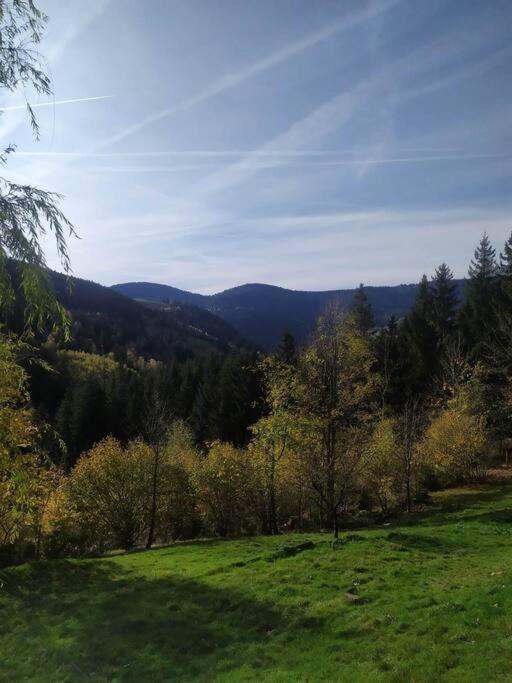 Maison De Montagne Vue Magnifique Ventron Eksteriør bilde