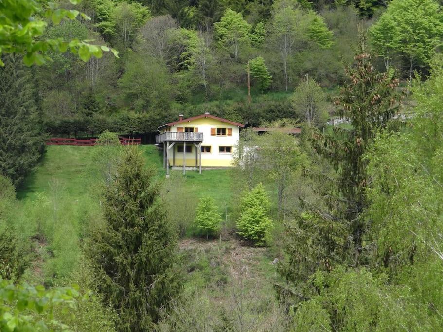 Maison De Montagne Vue Magnifique Ventron Eksteriør bilde