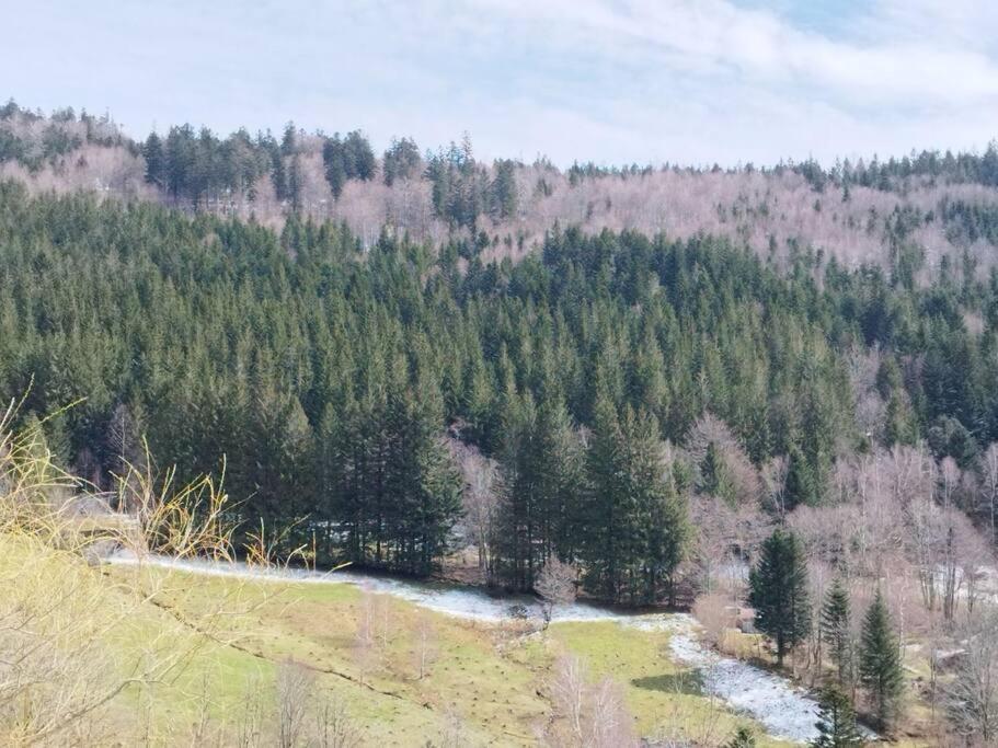 Maison De Montagne Vue Magnifique Ventron Eksteriør bilde