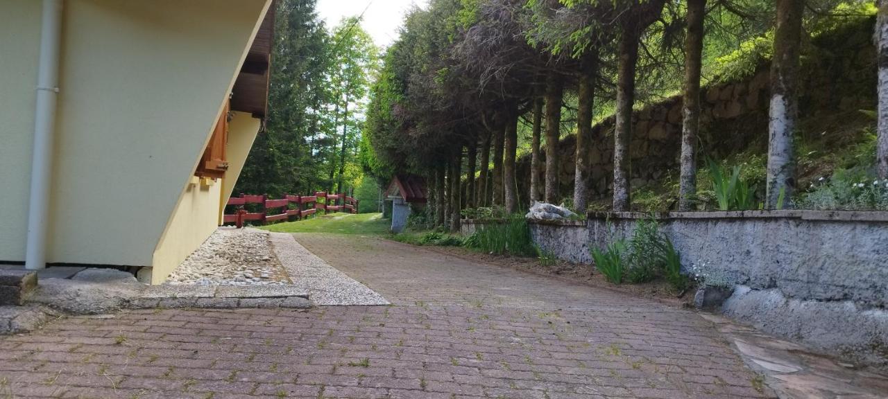 Maison De Montagne Vue Magnifique Ventron Eksteriør bilde